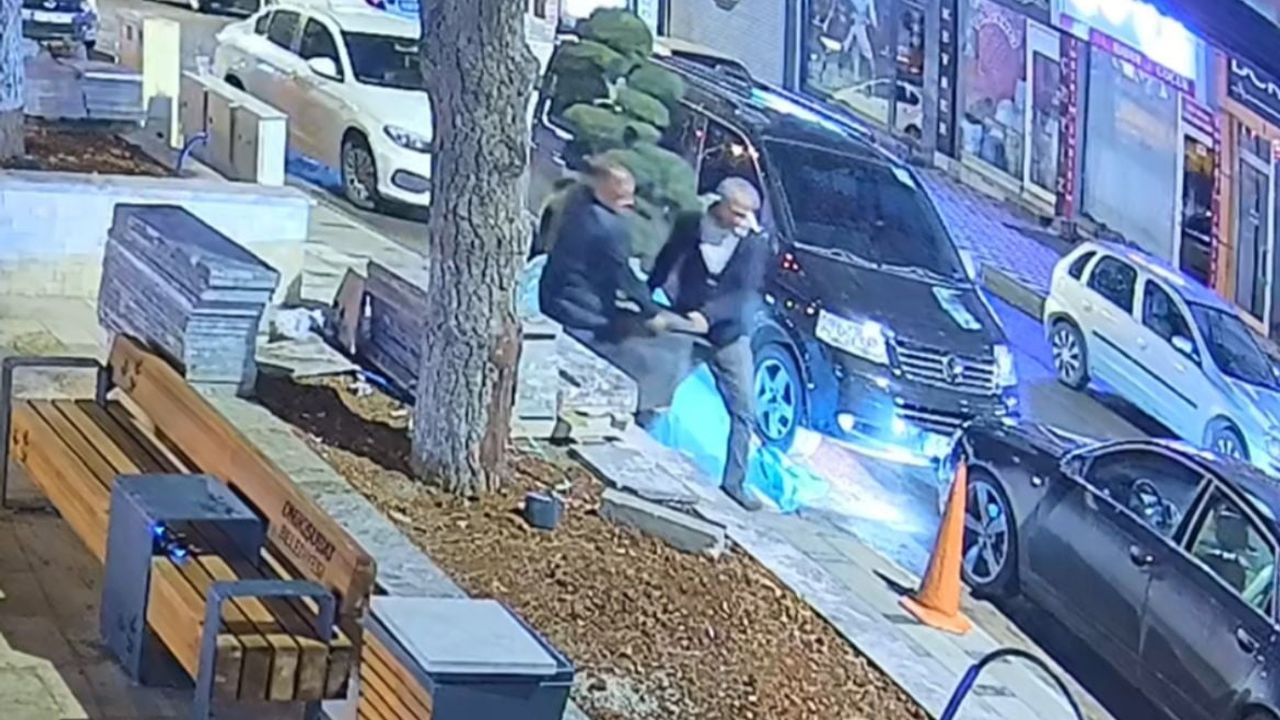 Kahramanmaraş’ta Parktan Araçla Ağaç Hırsızlığı