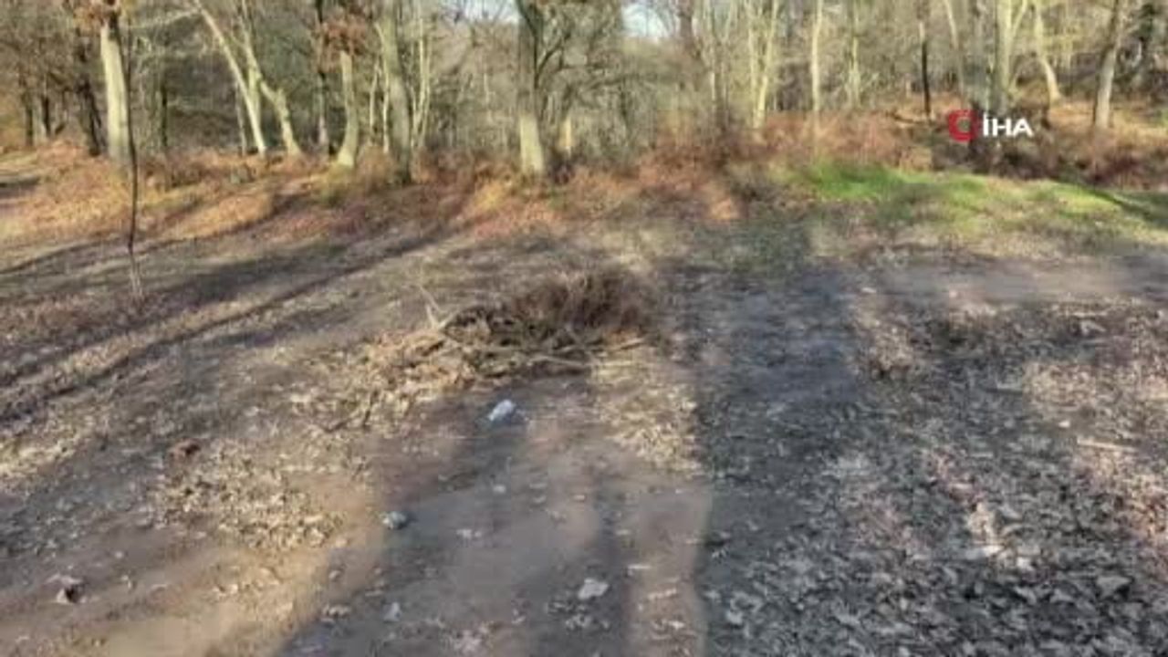 Kapıdağ’da Kayıp Elif Kumal İçin Aramalar Genişletildi — Dalgıçlar Su Altı Arama Başlattı