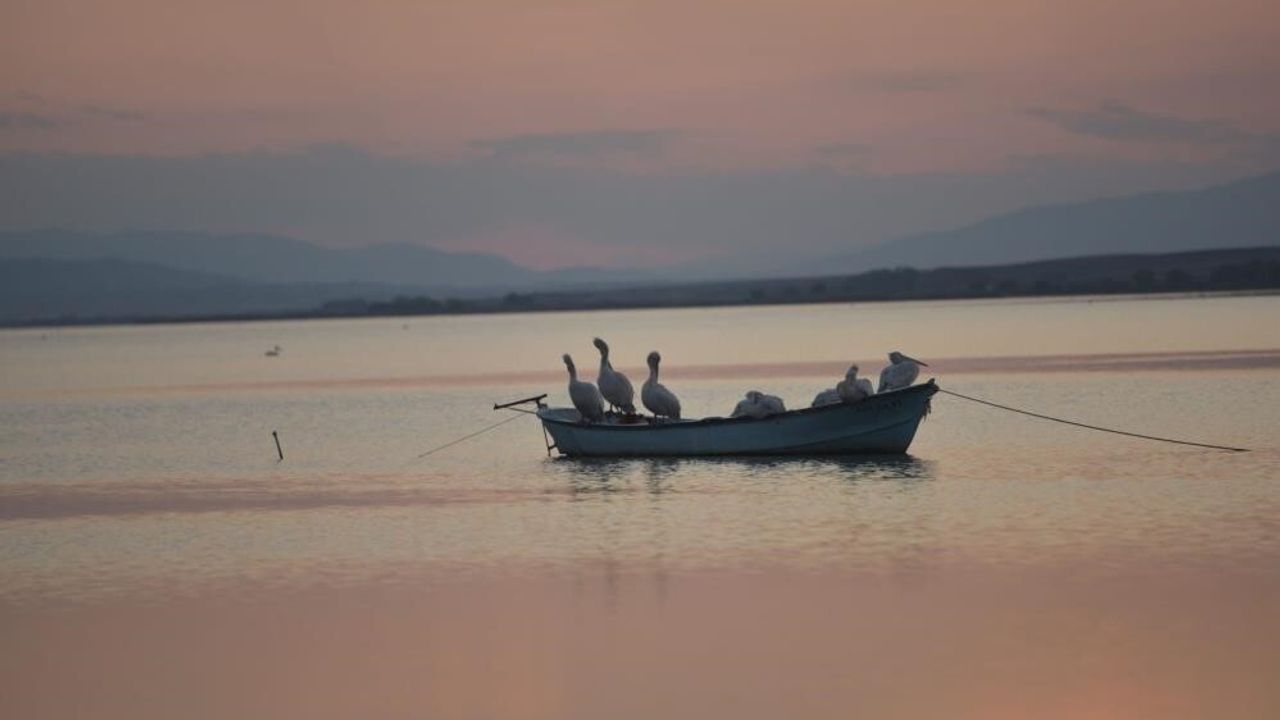 Karacabey'de Çeltik Ekimi Yasaklandı: Manyas Barajı'ndaki Su Çekilmesi