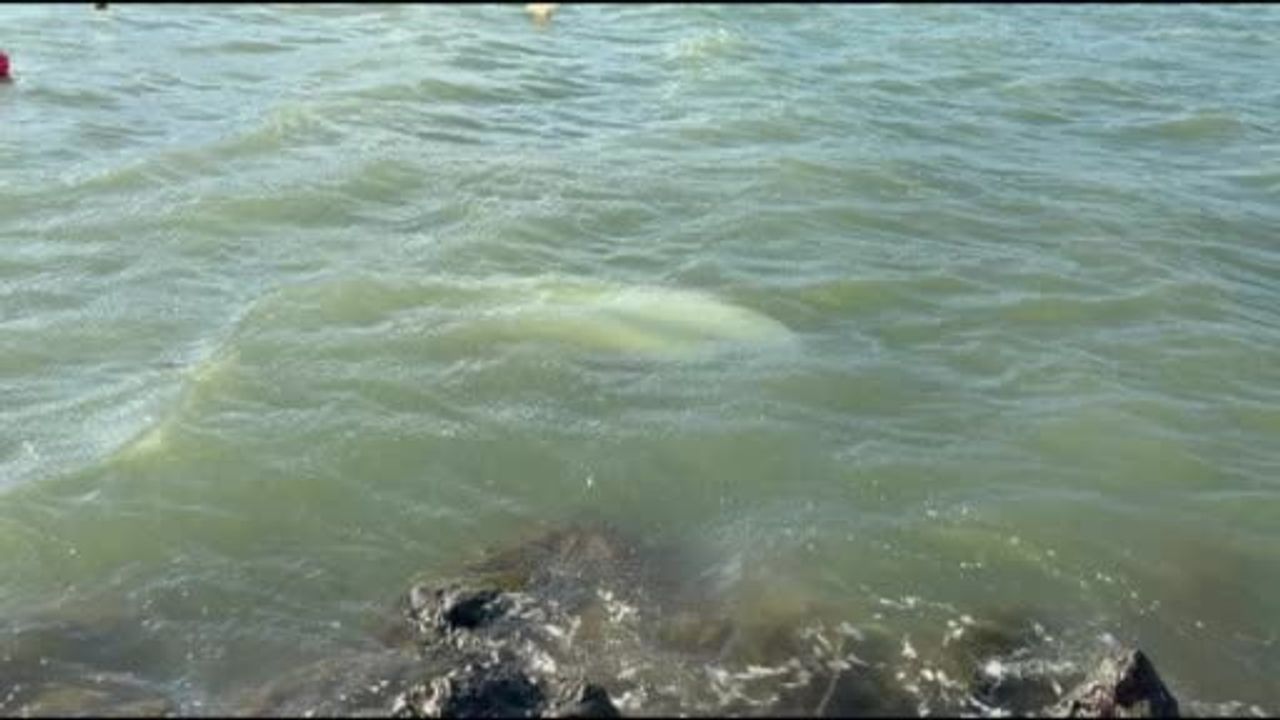 Karadeniz’de Fırtına: Samsun’da 3 Tekne Battı