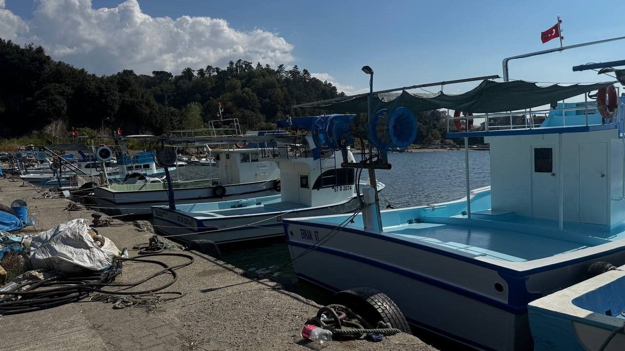 Karadeniz'de Palamut Şoku: Alaplı Balıkçıları Sezonu Boş Döndü