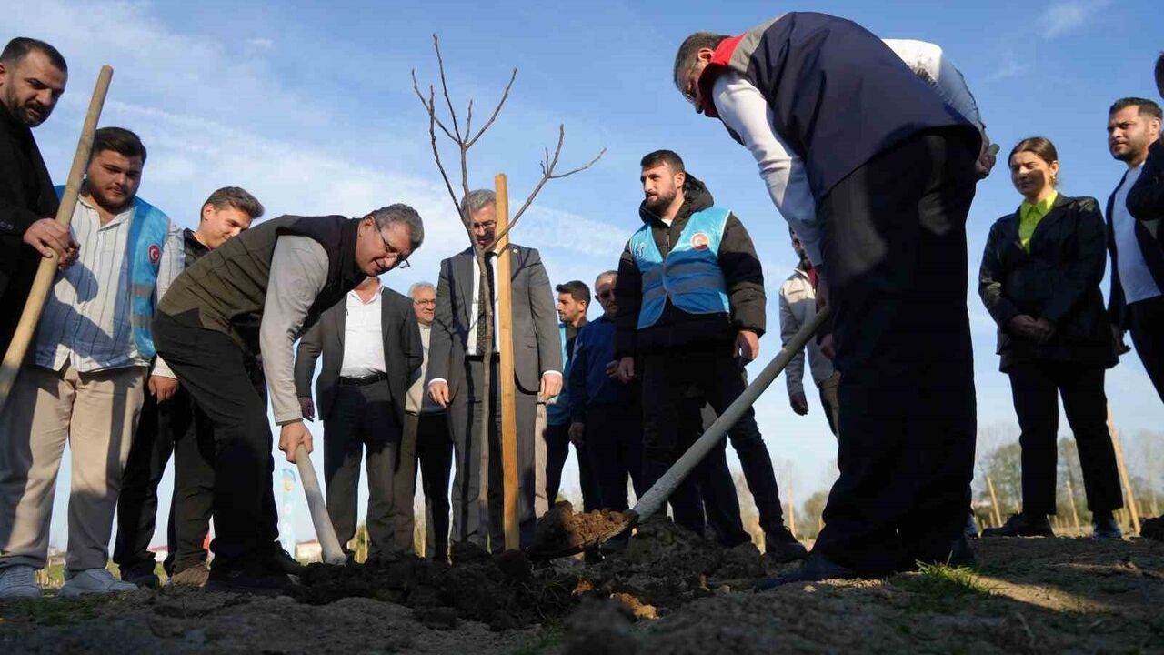 Karadeniz'in En Büyük İncir Projesi: 50 Milyon TL Gelir Kız Öğrencilere Burs Olacak