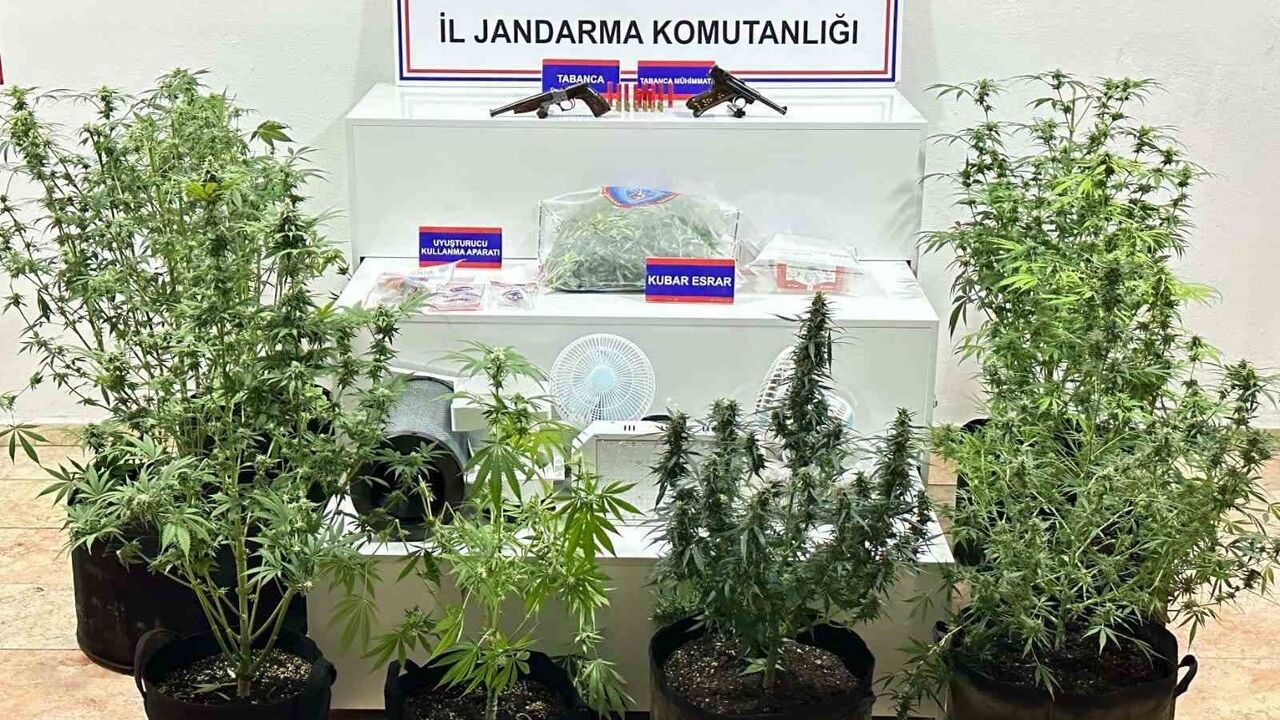 Karaman'da yaban keçisi avına 954 bin 208 lira ceza; uyuşturucu ve ruhsatsız silah ele geçirildi