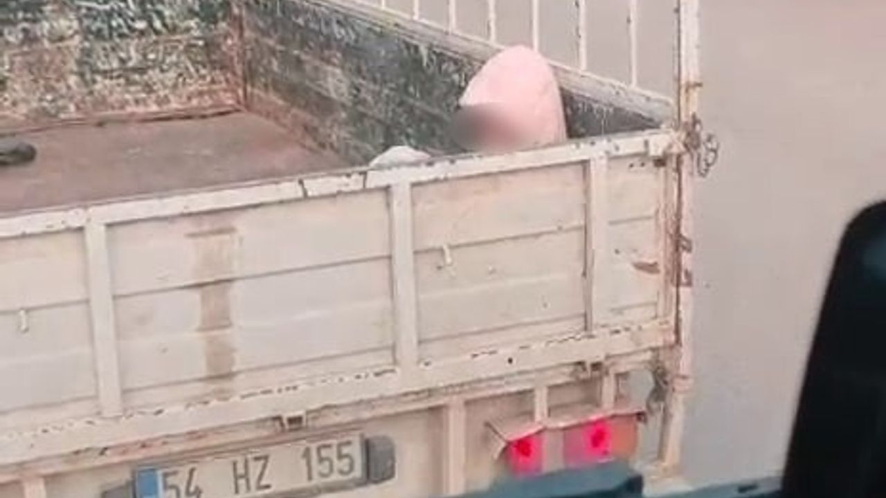 Karasu D-650'de Kamyonet Kasasında Üşüyen Çocuğun Yürek Sızlatan Yolculuğu