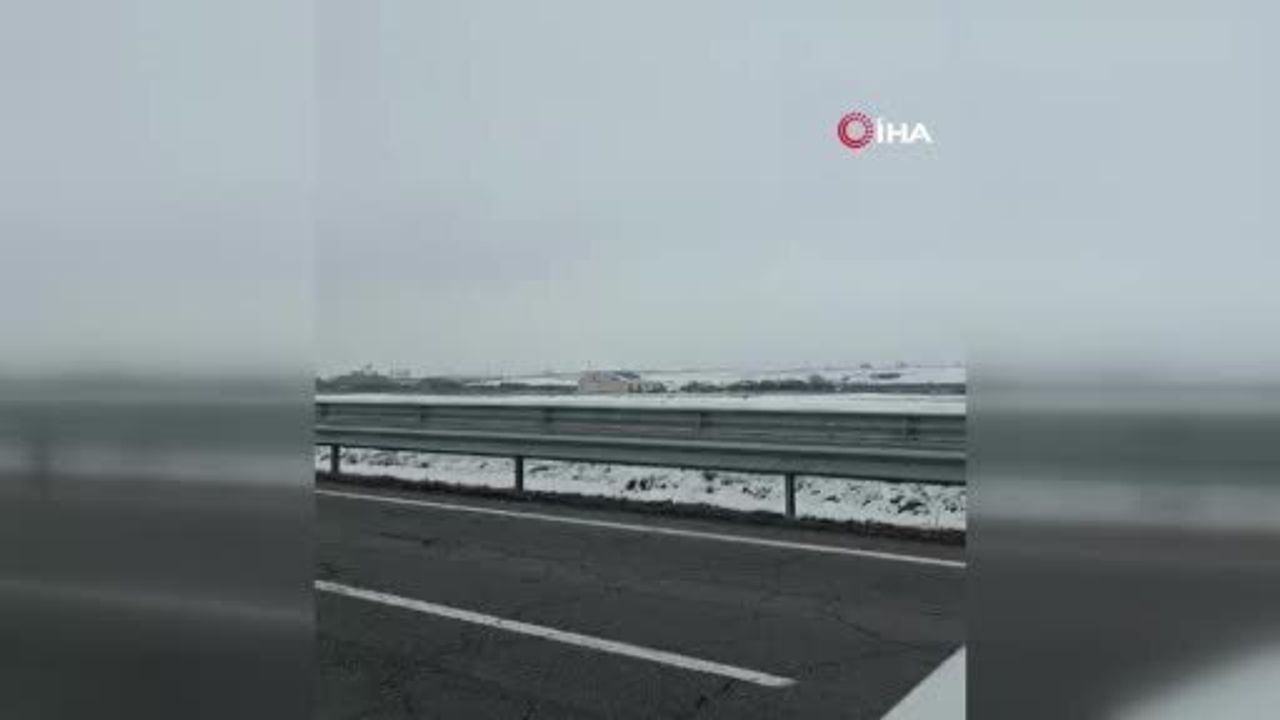 Kars'ta 6 Kurttan Oluşan Kurt Sürüsü Şehir Merkezine İndi