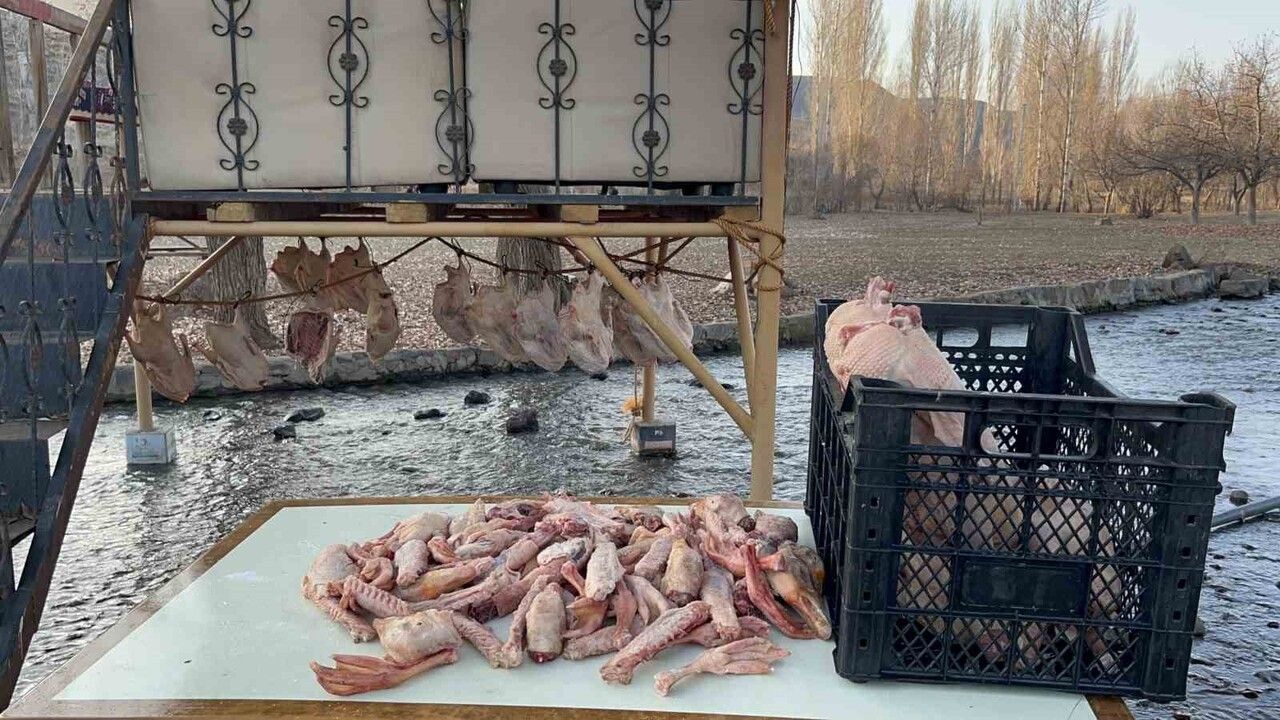 Kars'ta kazlar geleneksel yöntemle kurutuluyor: Kış sofralarına hazır