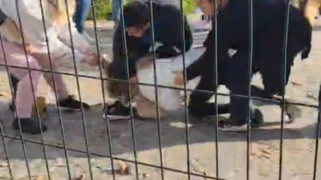 Kartal Anadolu Adliyesi Önünde Aile Kavgası: Kadın Saçından Sürüklendi, Vatandaş Darp Edildi