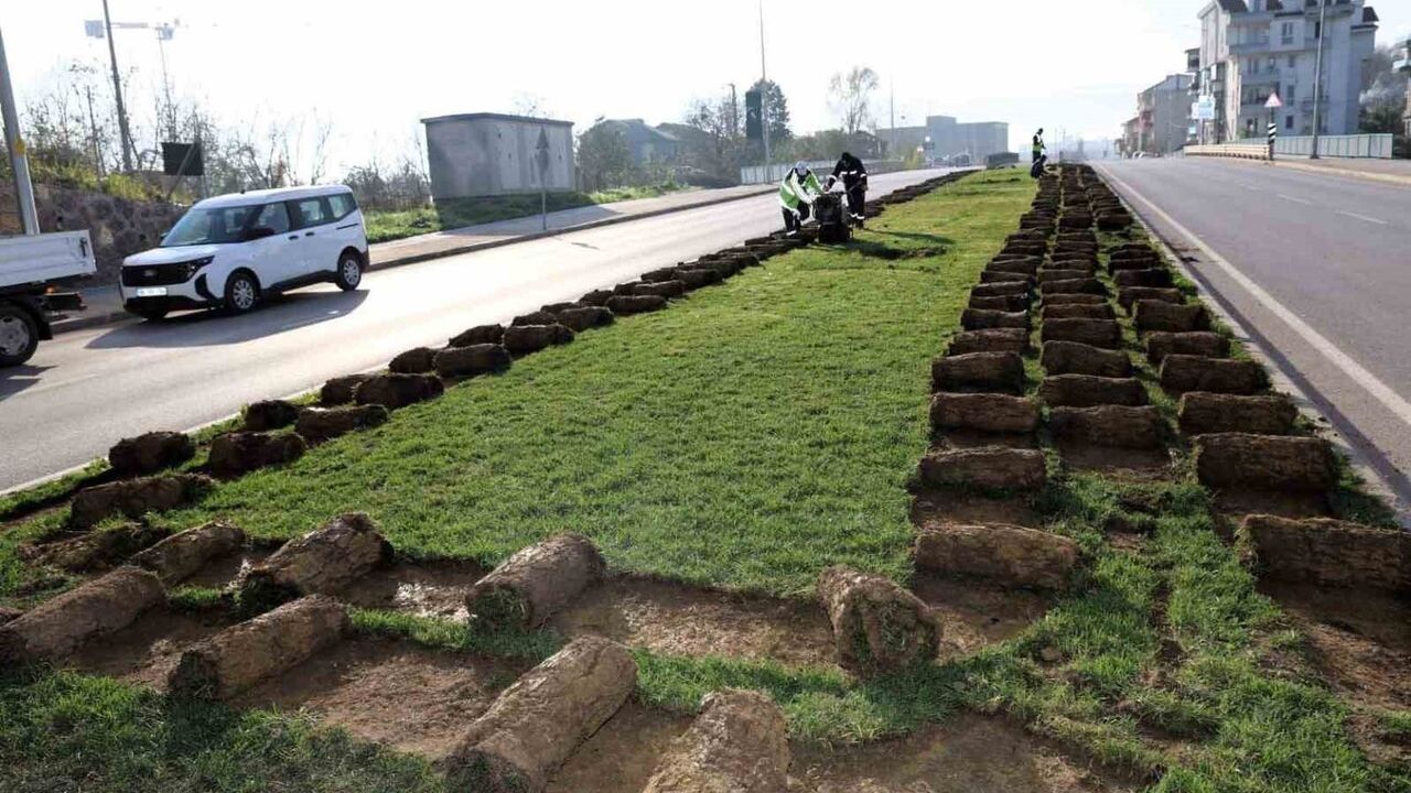 Kartepe Tramvay Hattı: Sökülen Ağaçlar Fidanlıkta Yeni Hayat Buluyor