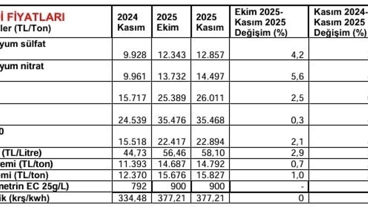 Kasım'da Market Fiyatları: TZOB 24 Üründe Düşüş, Mandalina Farkı %392,86