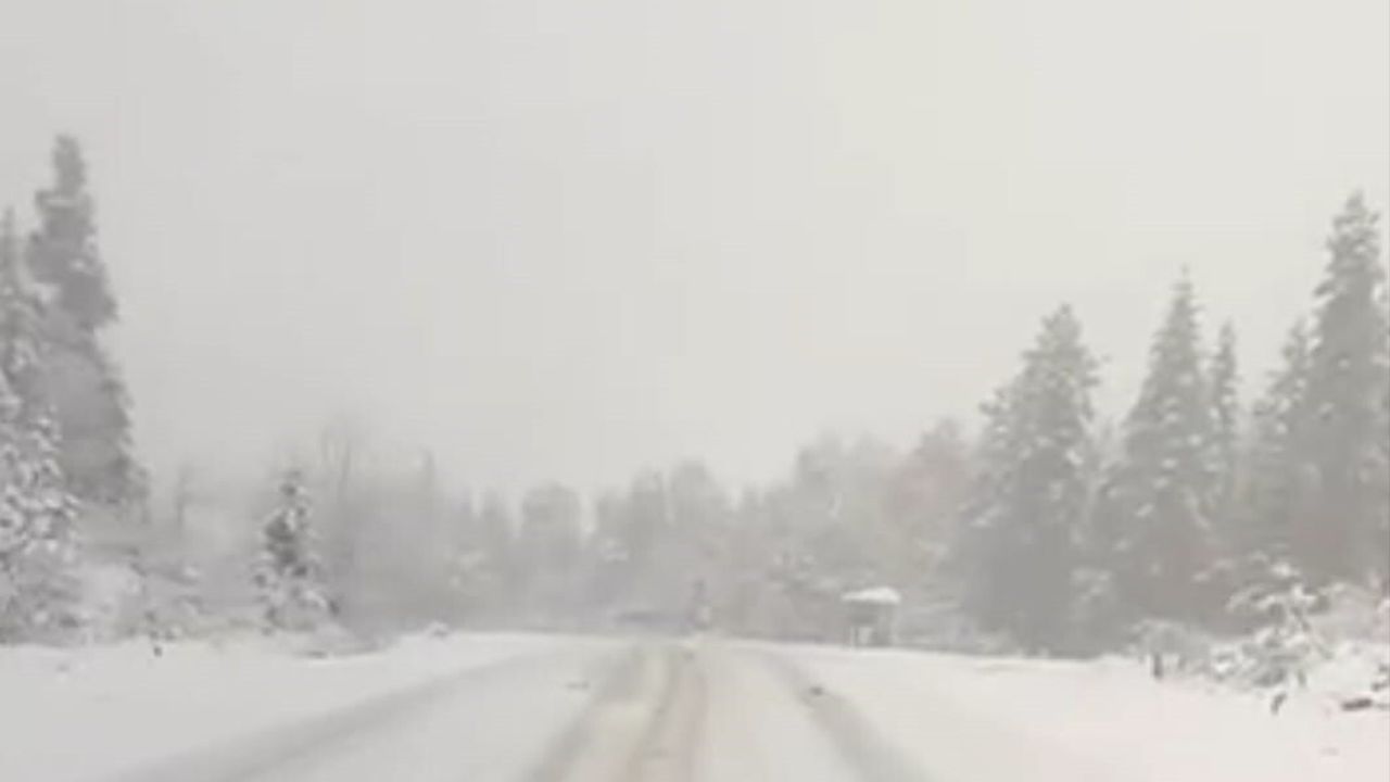 Kastamonu'da Kar Yağışı: Koru Yaylası Beyaza Büründü