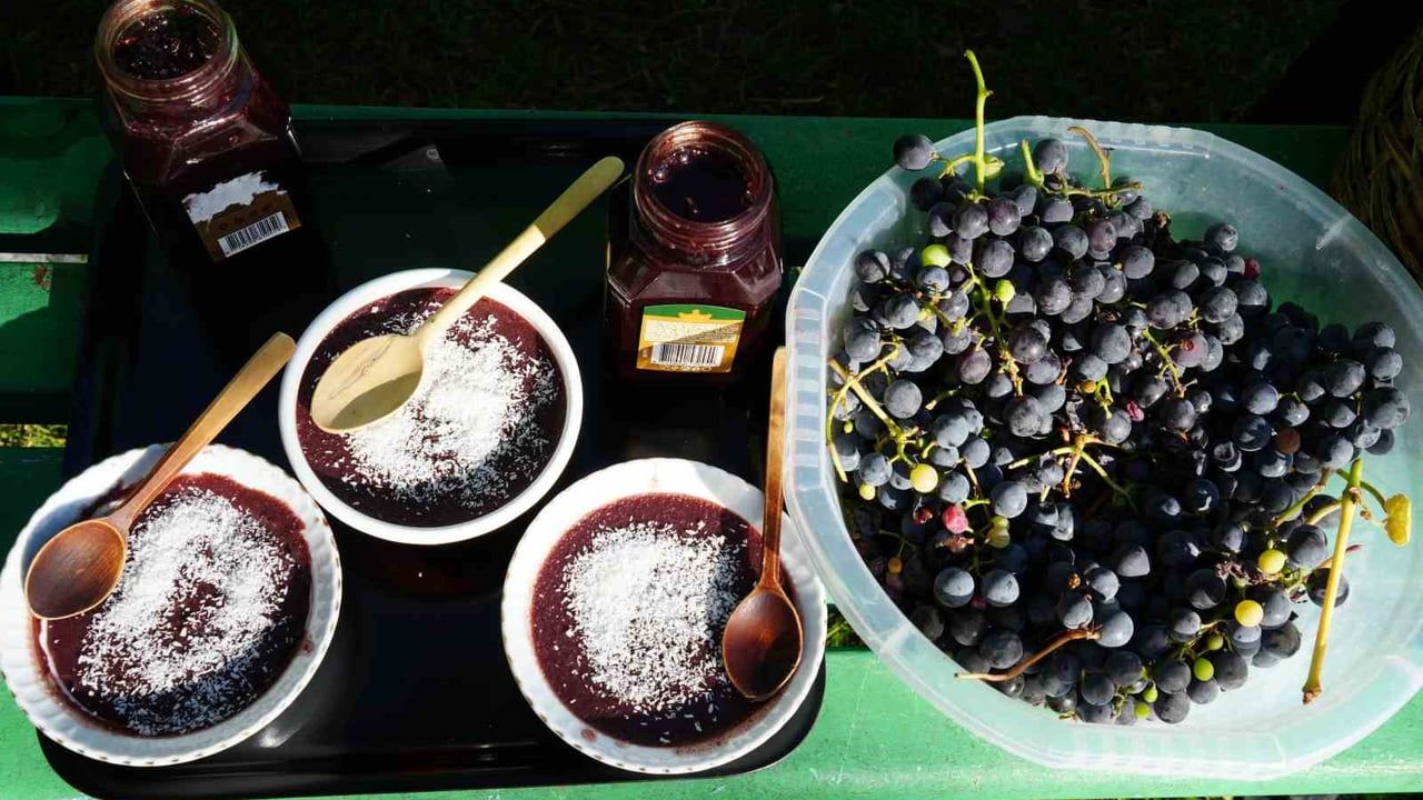 Kastamonu'da Resveratrol Zengini Kokulu Kara Üzüm Üretimi Artırılacak