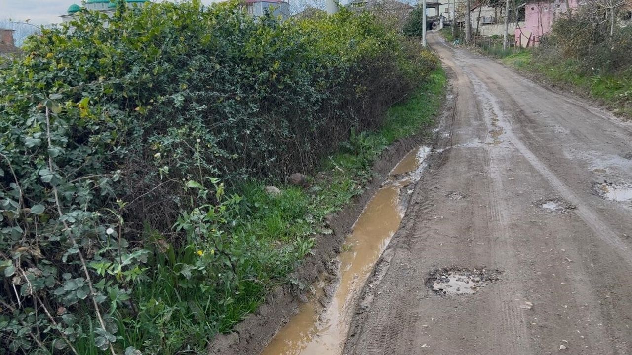 Kaynarca'da 10 Yıllık Yol Çilesi: Karaçalı Mahallesi İsyanda