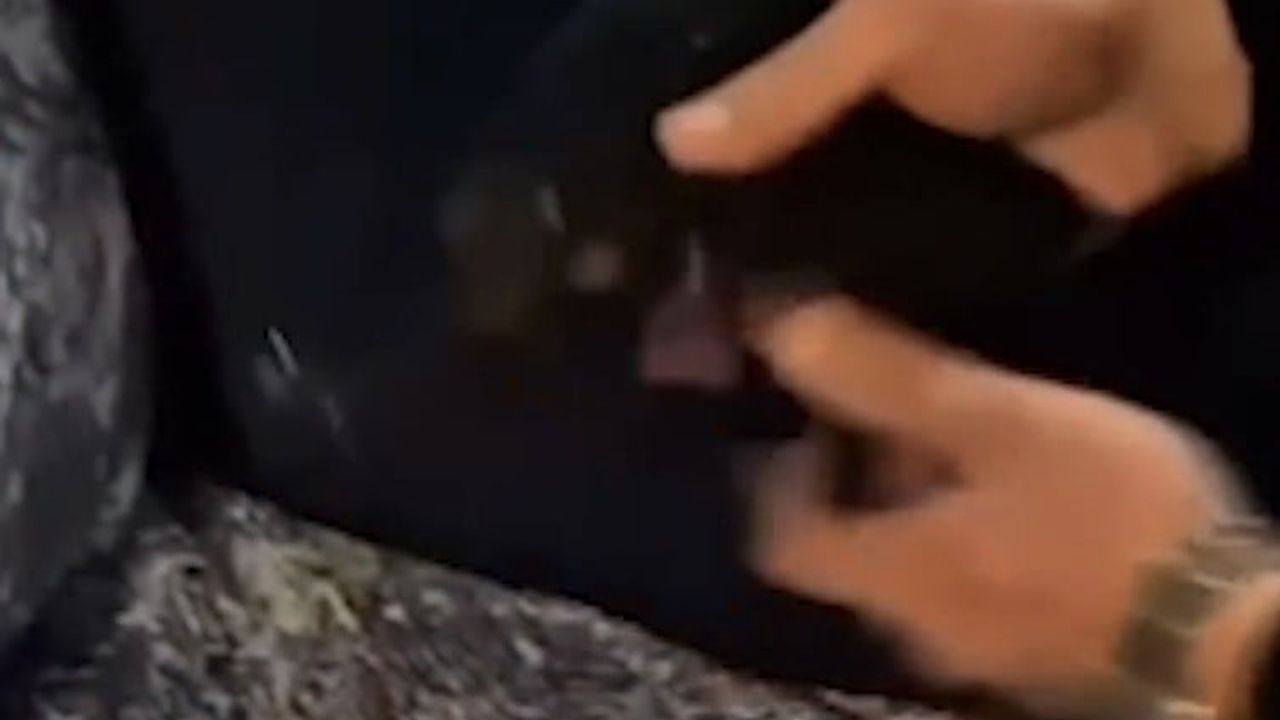 Kayseri’de 2025 Gasp Operasyonları: 44 Tutuklama, Çok Sayıda Silah ve Para Ele Geçirildi