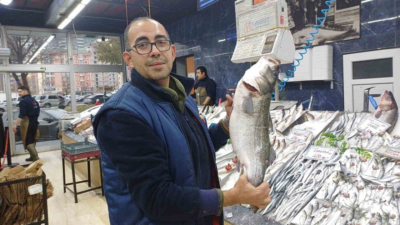 Kayseri'de palamut az, hamsi bolluğu sürüyor