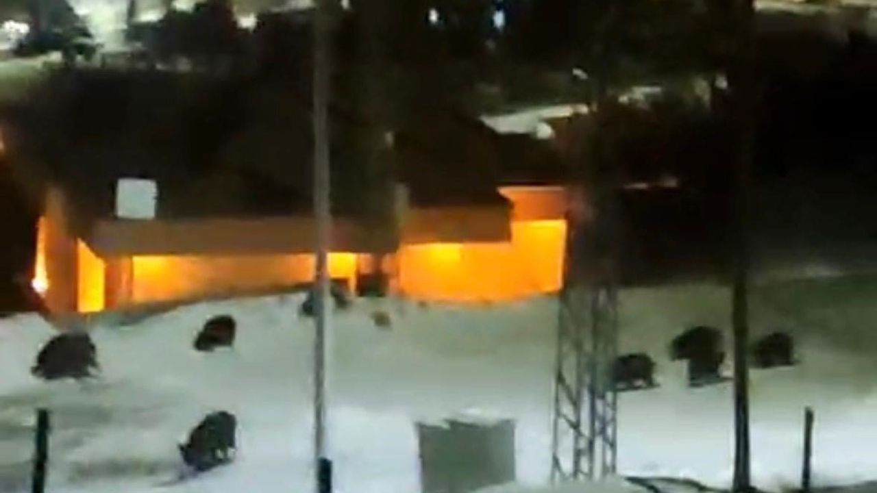 Kayseri Hacılar'da İlçe Merkezine İnen 13 Domuz Kamerada