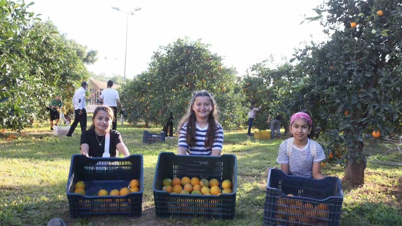 Kepez Belediyesi Dokumapark'ta Portakalları Halkla Paylaştı