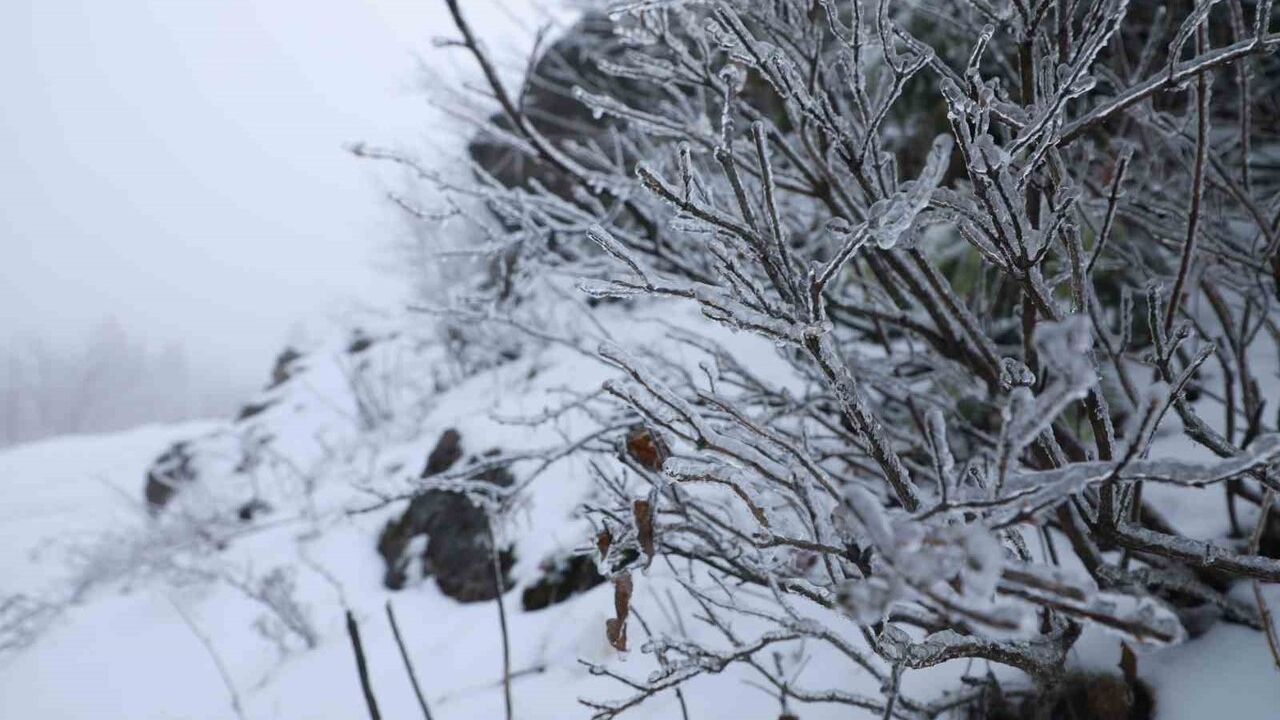 Keremali Yaylası Beyaza Büründü: Akyazı'da Kar ve Yoğun Sis