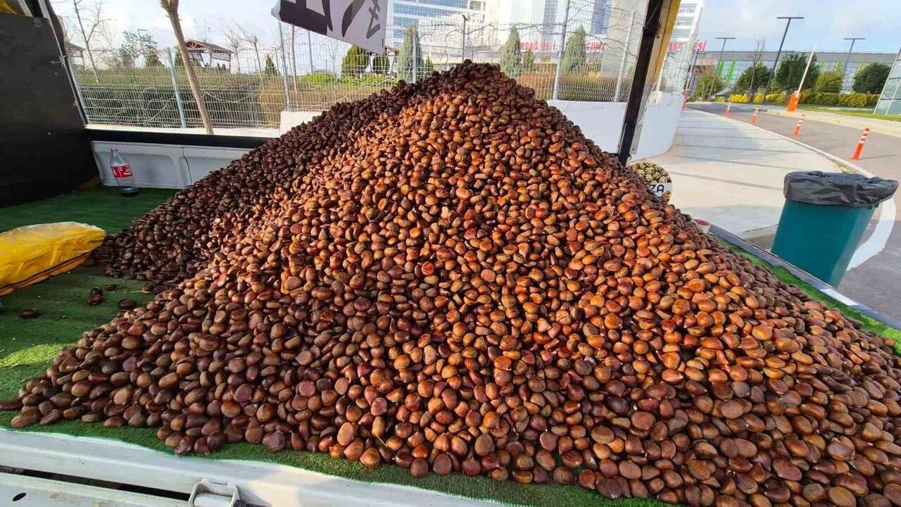 Kestane Sezonu Açıldı: Kilosu 175 Lira, Süleymanpaşa’da Sokakları Sardı