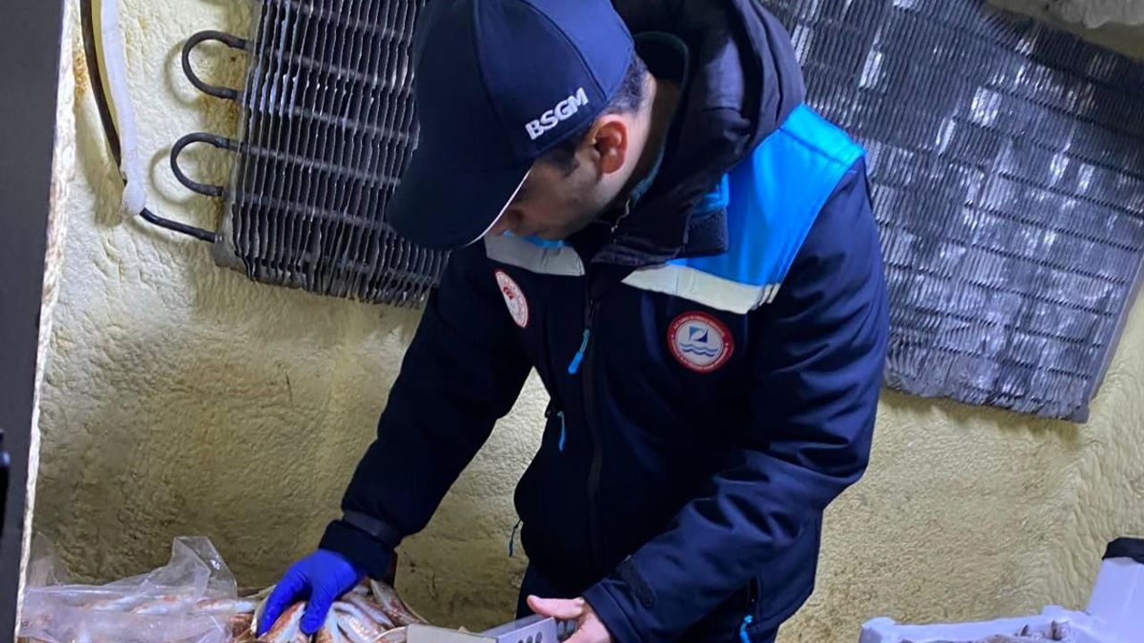 Kırklareli'de Su Ürünleri Denetimi: Kıyıköy'de 2 Balıkçıya 75 bin 540 lira Ceza