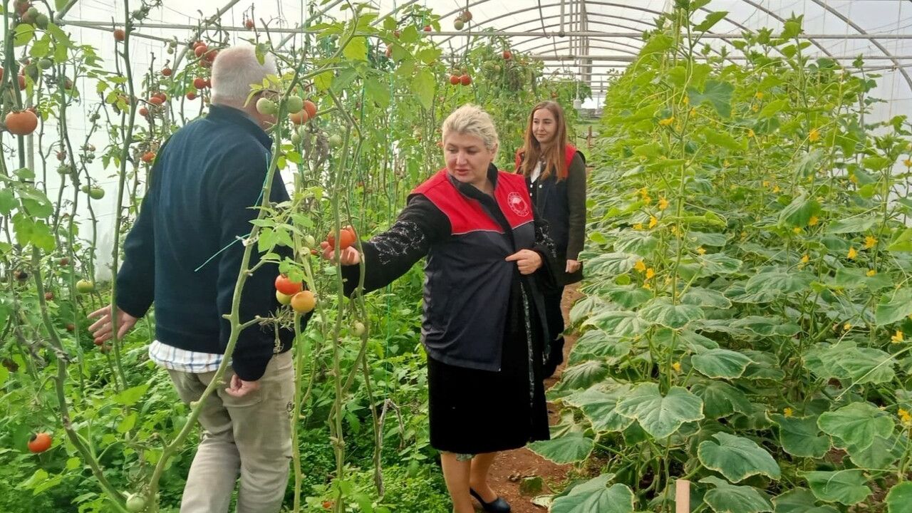 Kırklareli Lüleburgaz'ta Sera Kontrolleri: Tarım ve Orman Müdürlüğü İncelemesi