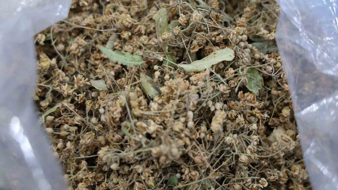 Kırşehir Uzun Çarşısı'nda Kışa Hazırlık: Bitki Çayı Talebi Artıyor