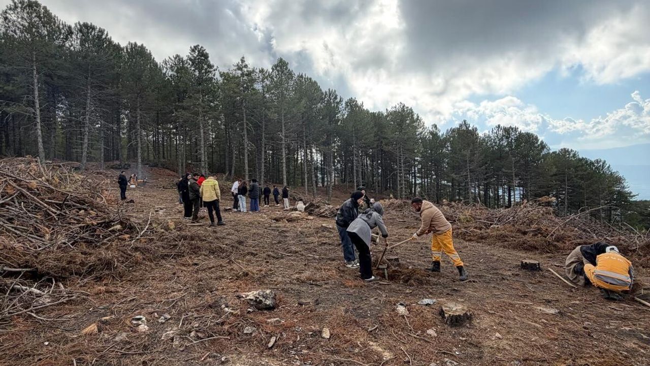 Kırşehirli Öğrenciler Çine'de Fidan Dikti — Ahi Evran Üniversitesi ÜNİDES
