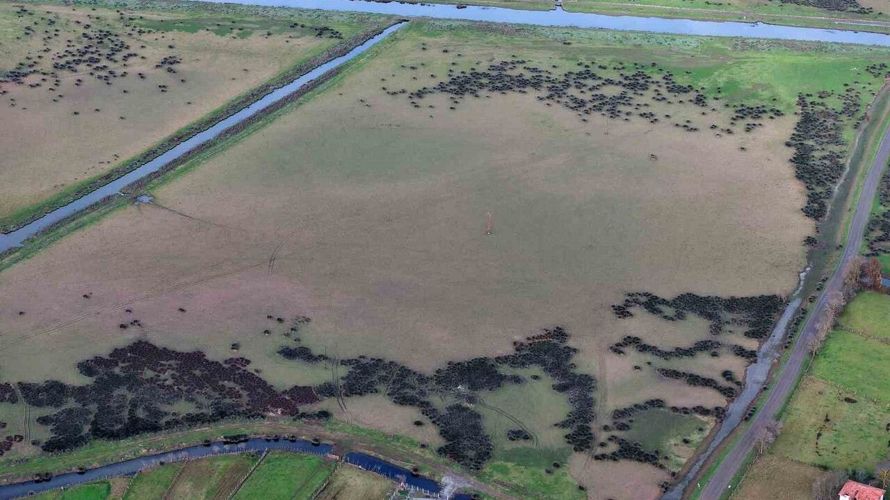 Kızılırmak Deltası'nda Su Seviyesi Düşüyor: Kuraklık Yeraltı Sularını Beslemiyor