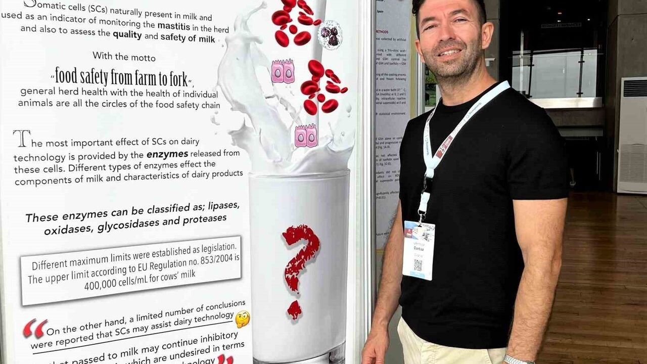 KKTC'de Şap Alarmı: Uzmanlardan Karantina, Dezenfeksiyon ve Aşılama Uyarısı