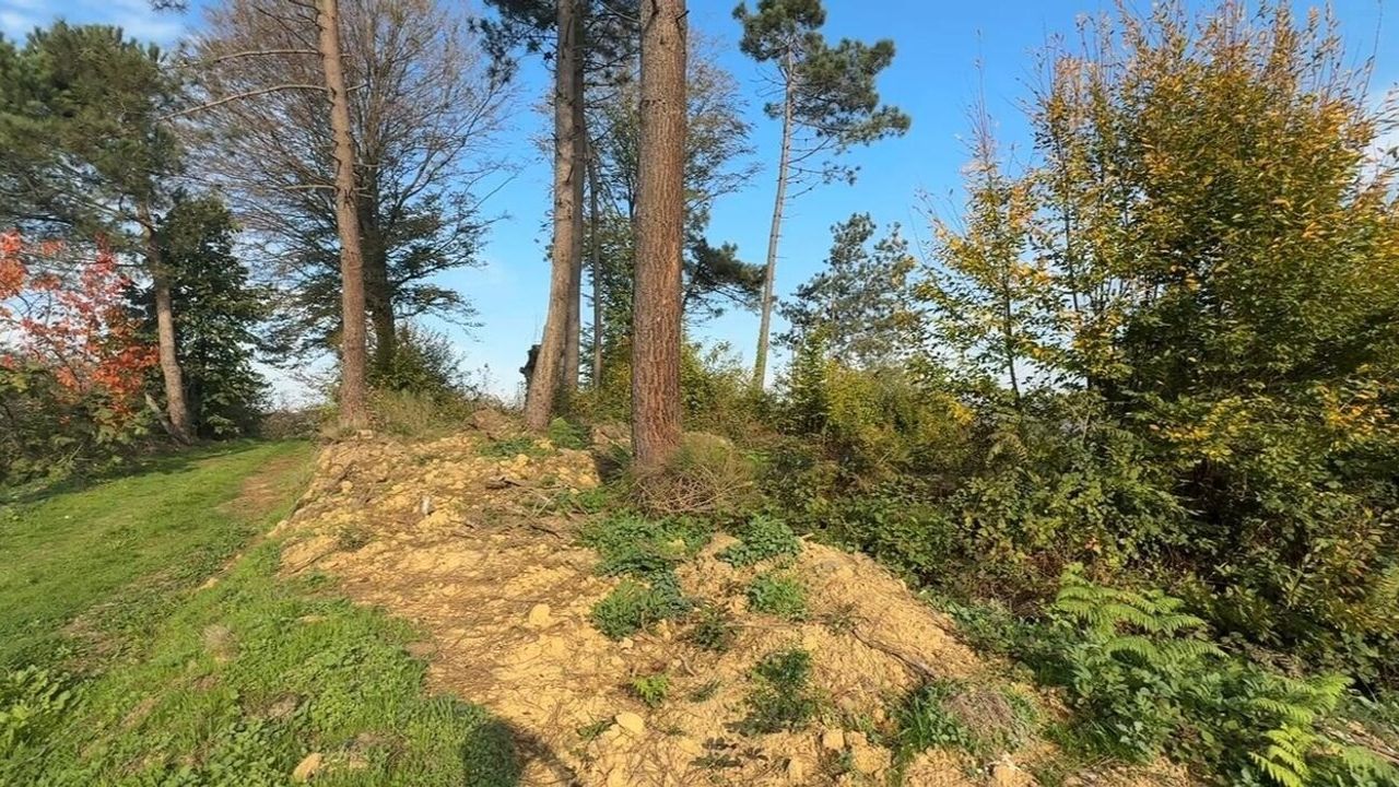 Kocaali'de 400 Yıllık Mezarlık Defineciler Yüzünden Otluk Alana Döndü