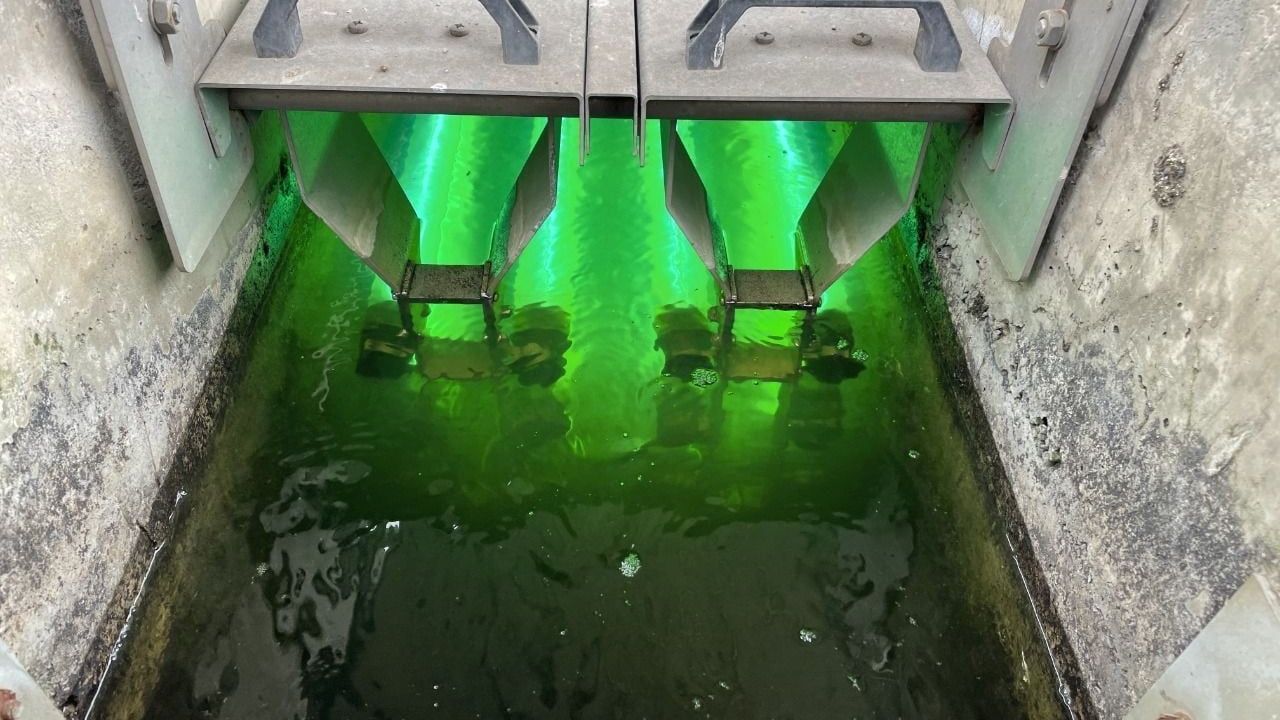 Kocaeli'de 10 Yılda Yuvacık Barajı'nın 3 Katı Su Tasarrufu