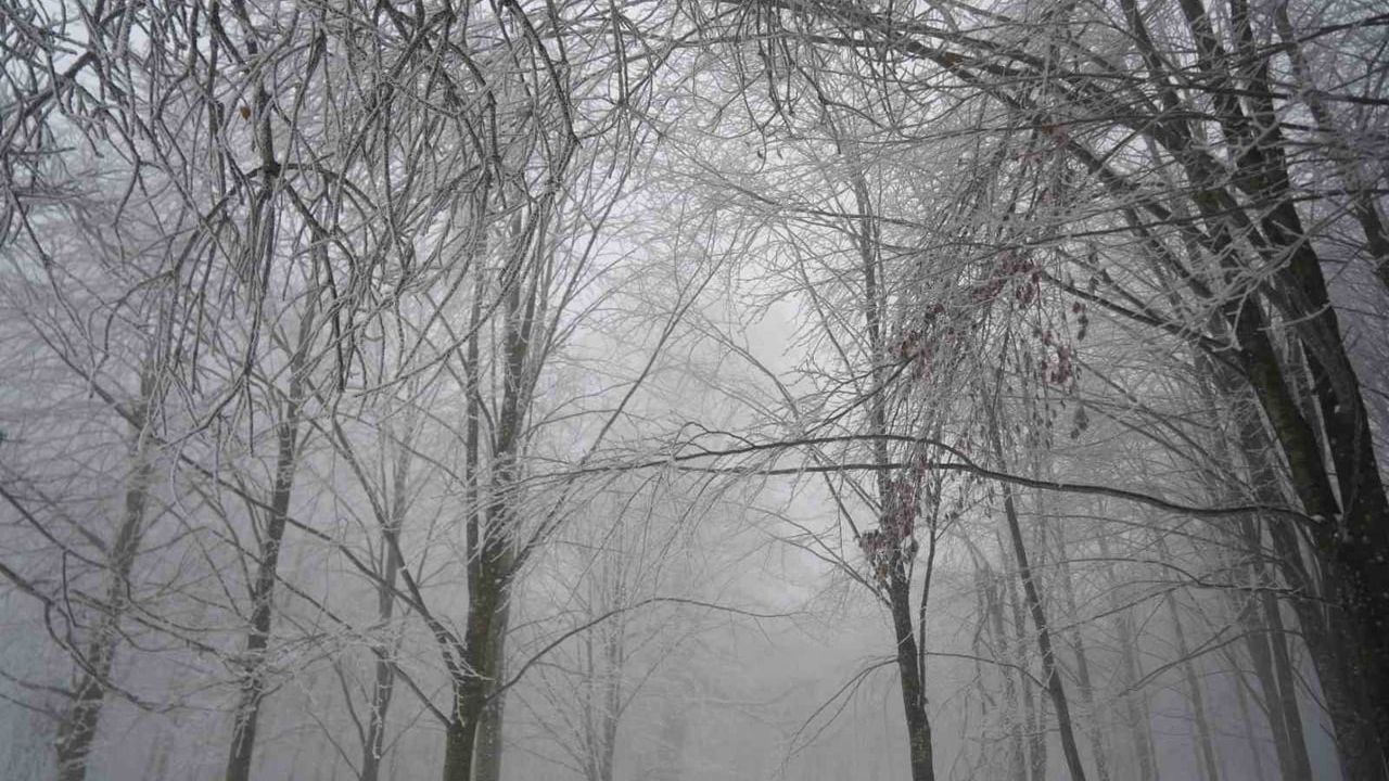 Kocaeli’de Lapa Lapa Kar: Kartepe’de 10 santimetreye Ulaştı