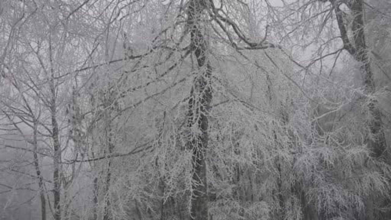 Kocaeli'ye Lapa Lapa Kar: Kartepe'de 10 cm'e Ulaştı