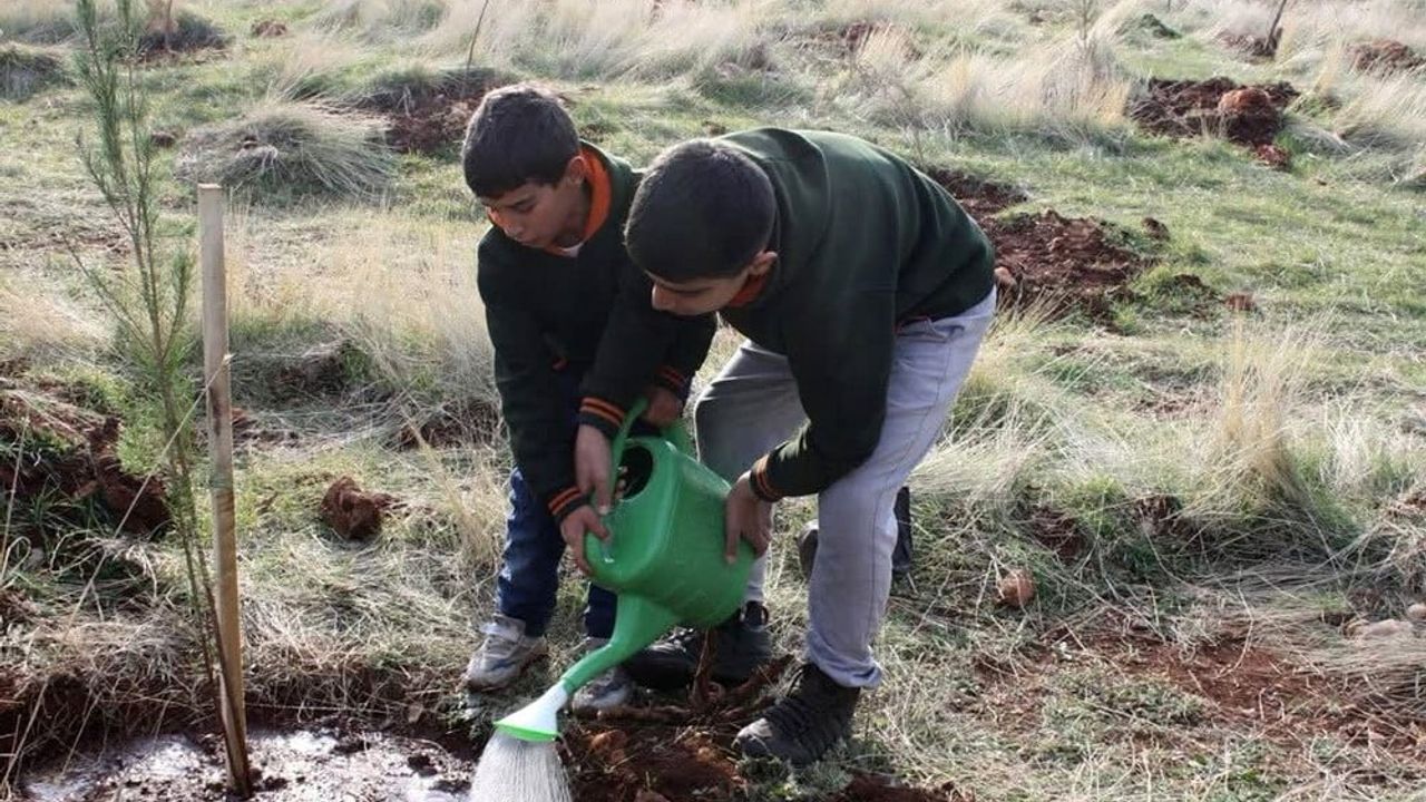 Kocaköy’de Sur Olayları Şehitleri İçin Anlamlı Fidan Dikimi