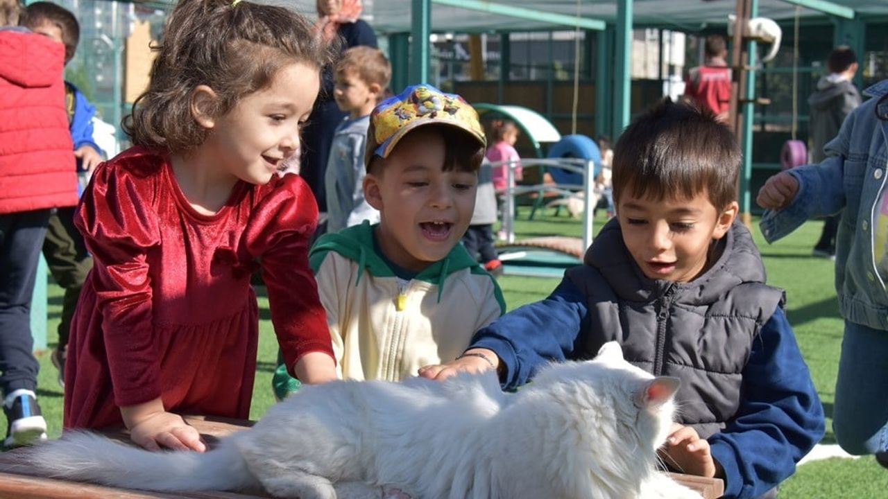 Kocasinan'ın 'Küçük Dostlar Ambulansı' 10 bin 280 Can Kurtardı