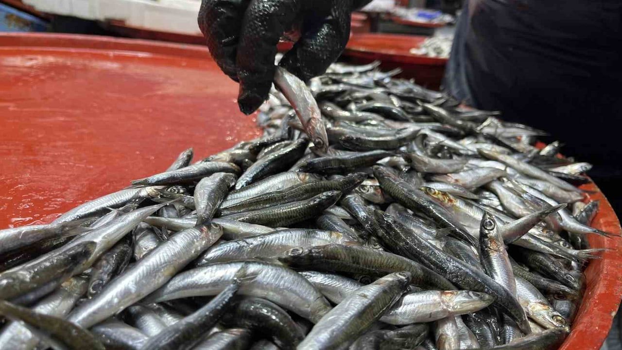 Konya'da Geciken Kış Hamsiyi Vurdu: Fiyatlar Yükseldi, Satışlar Artmadı