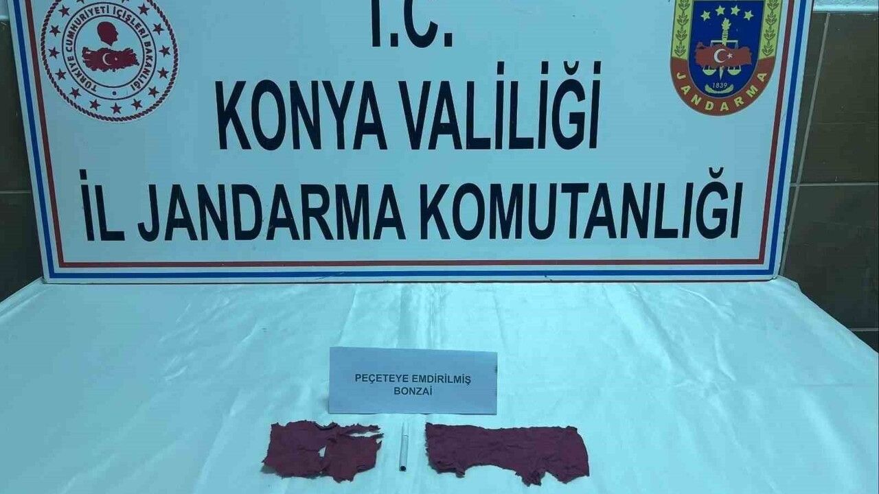 Konya'da Jandarmadan Sentetik Bonzai Operasyonu: Bin 50 Peçete Ele Geçirildi