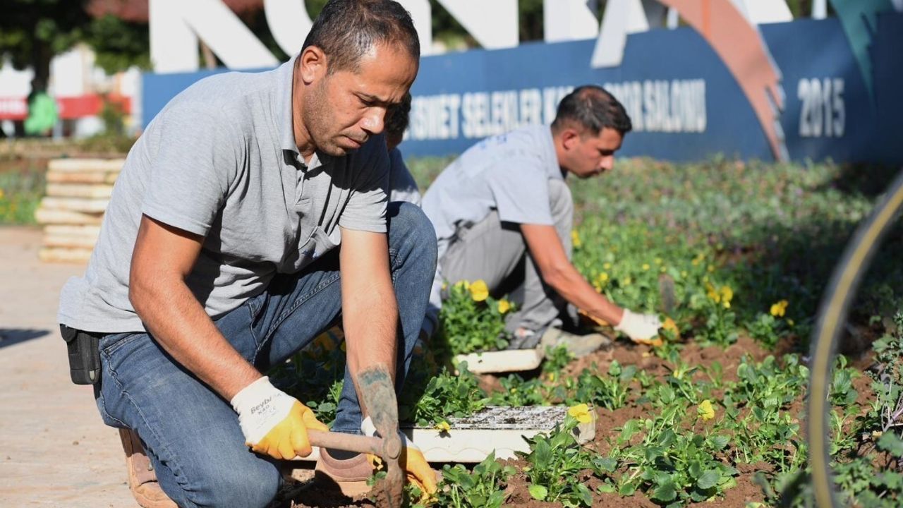Konyaaltı’nda Mevsimlik Çiçek Ekimi — Belediye Fidanlığı Şehri Renklendiriyor