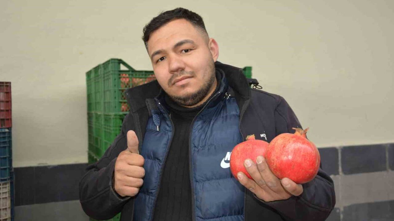 Korkuteli’den Nar İhracatı Başladı: Antalya’nın Narı Avrupa ve Rusya Yolunda