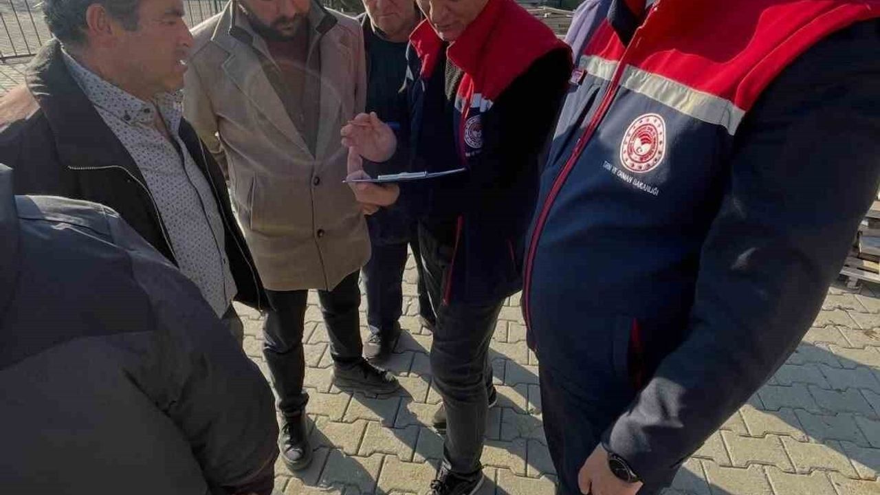 Köşk’te Üreticiye Tüplü İncir Fidanı Desteği