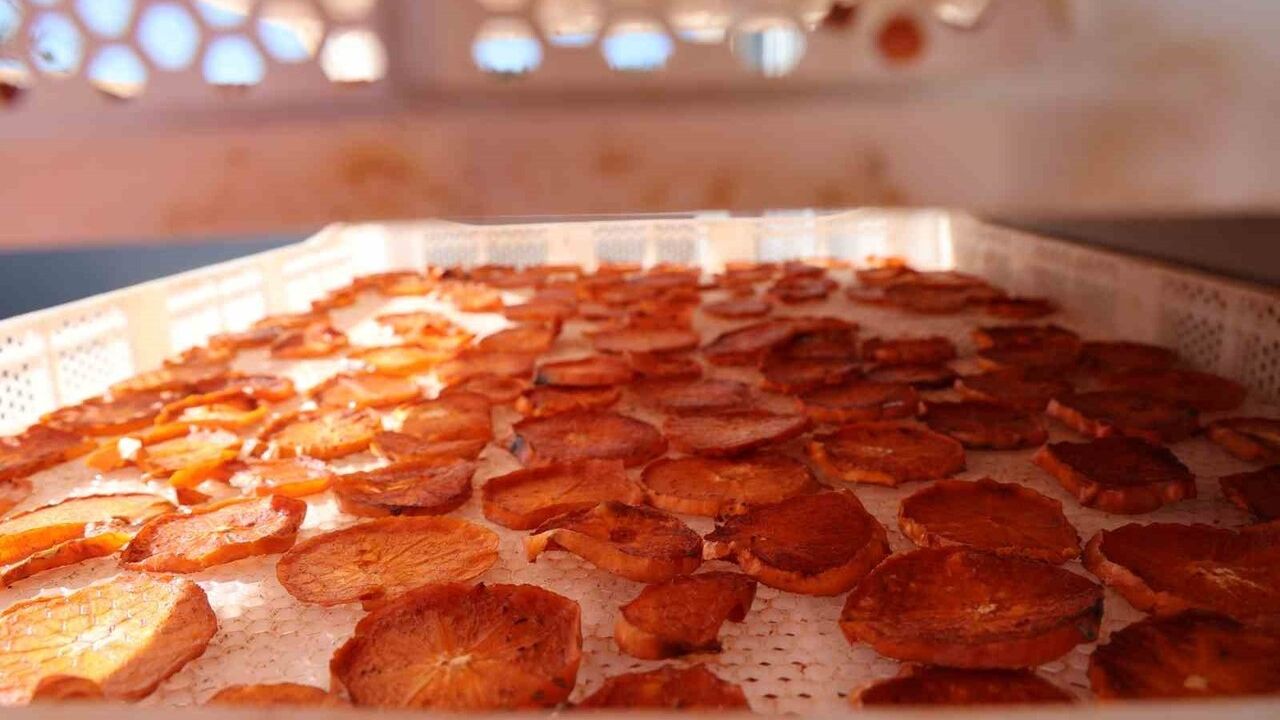 Kozan'dan Almanya'ya ilk ihracat: Köyde kurutulan cennet hurması