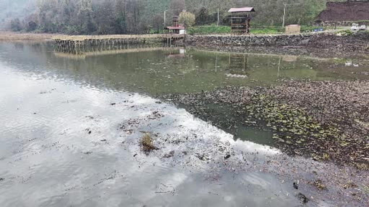 Kraliçenin Adını Taşıyan Efteni Gölü Yenileniyor
