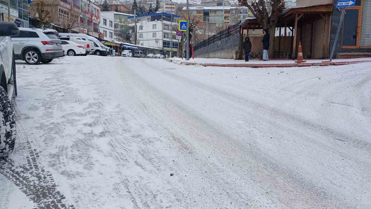 Kulp'ta Kar Hayatı Felç Etti: Yollar Kapandı, Okullar Tatil