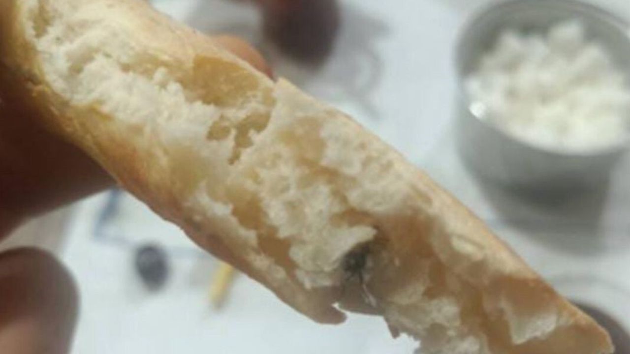 Kurtalan'da Fırın Ekmekten Sinek Çıktı: Vatandaştan Denetim Çağrısı