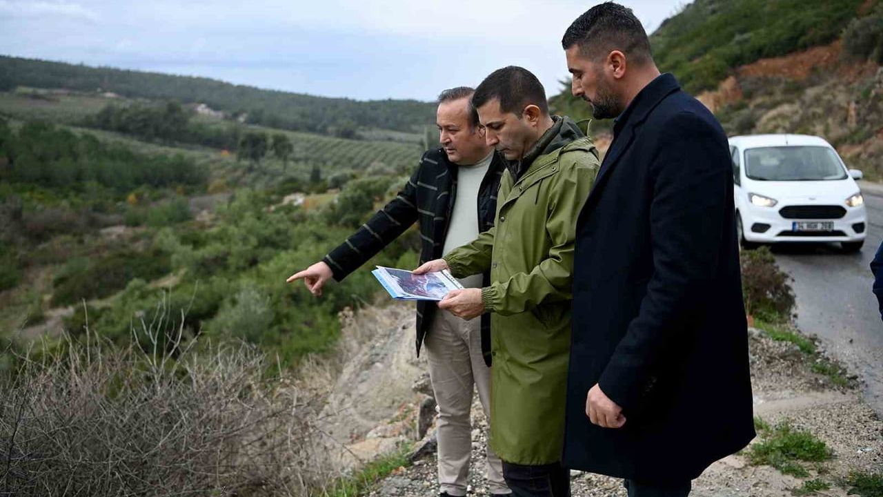 Kuşadası'nda Sokak Hayvanları İçin 'Doğal Yaşam Alanı' Projesi Başlıyor