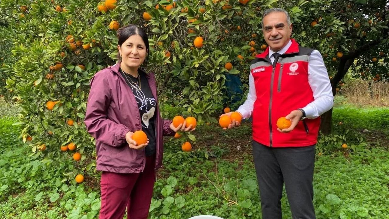 Kuyucak’ta Portakal Hasadı: Üreticilere EKÜY Belgeleri Teslim Edildi
