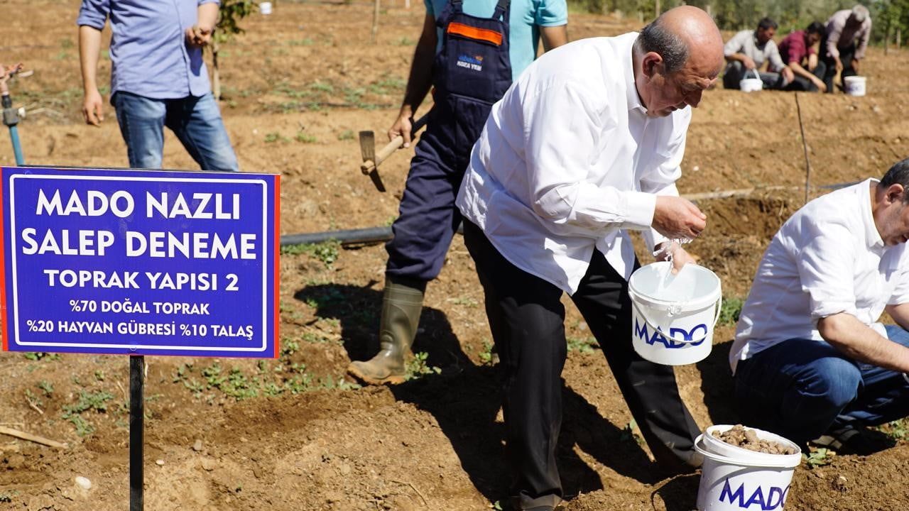 MADO'dan 'Salep Manifestosu': Salepin Geleceği ve Sürdürülebilirlik