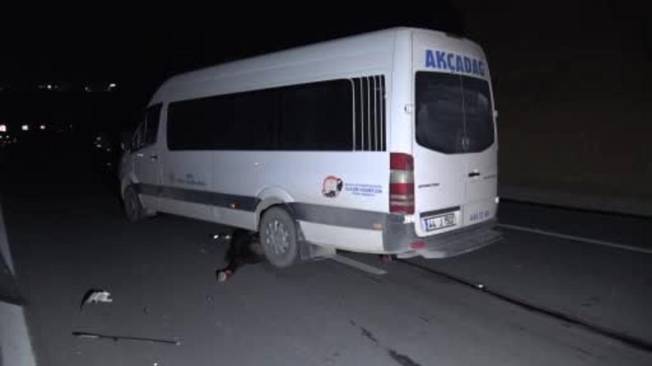 Malatya'da milyonluk taylar karayolunda telef oldu — 3 araç hasarlı, 1 yaralı