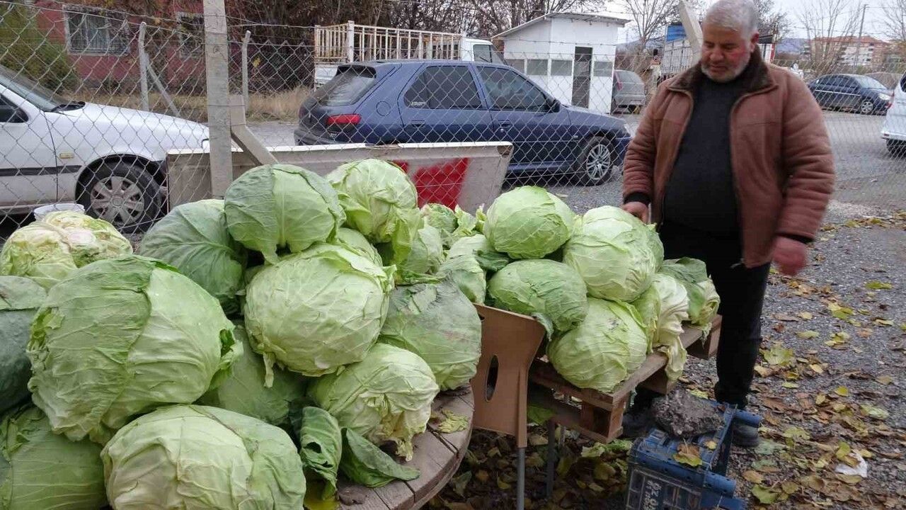 Malatya'da Zirai Don: Üreticiler Lahana ile Zararını Telafi Ediyor