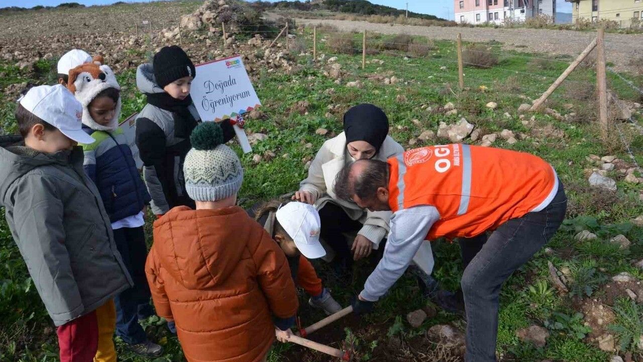 Manisa’da 100 Bininci Fidan Toprakla Buluştu — Yangın Alanları Yeniden Yeşeriyor
