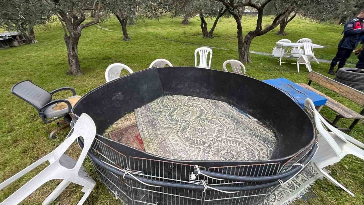 Manisa'da Jandarma Horoz Dövüşü Operasyonunda 10 Horoz Ele Geçirdi